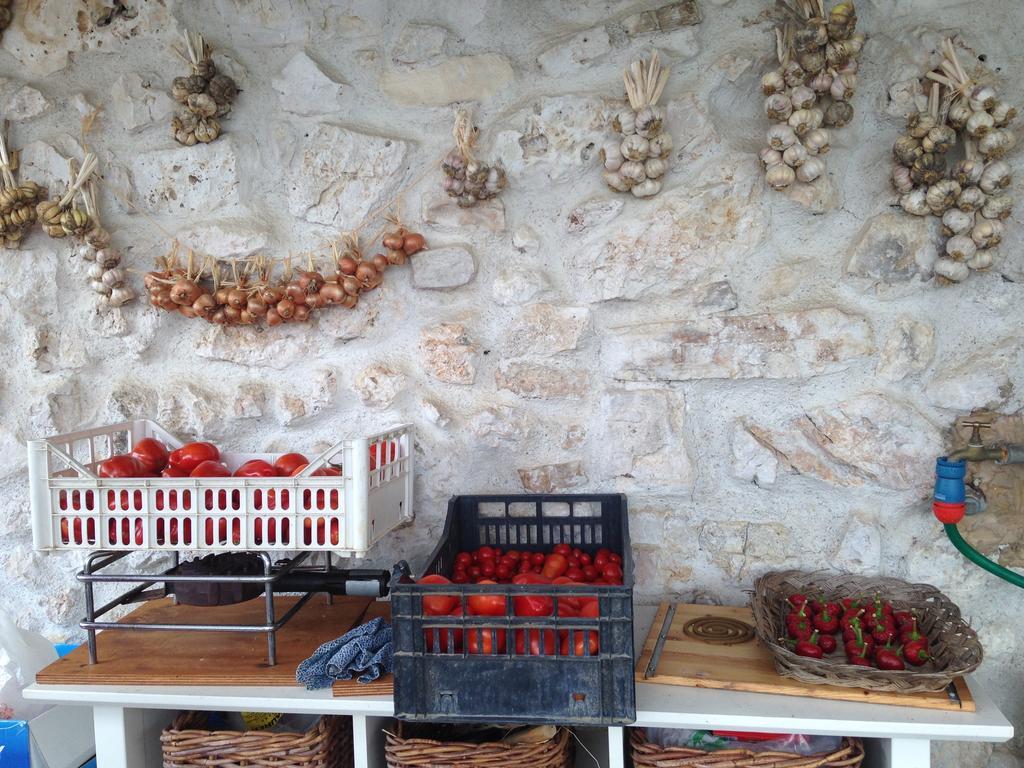 B&B Porchiano Del Monte Amelia Eksteriør bilde