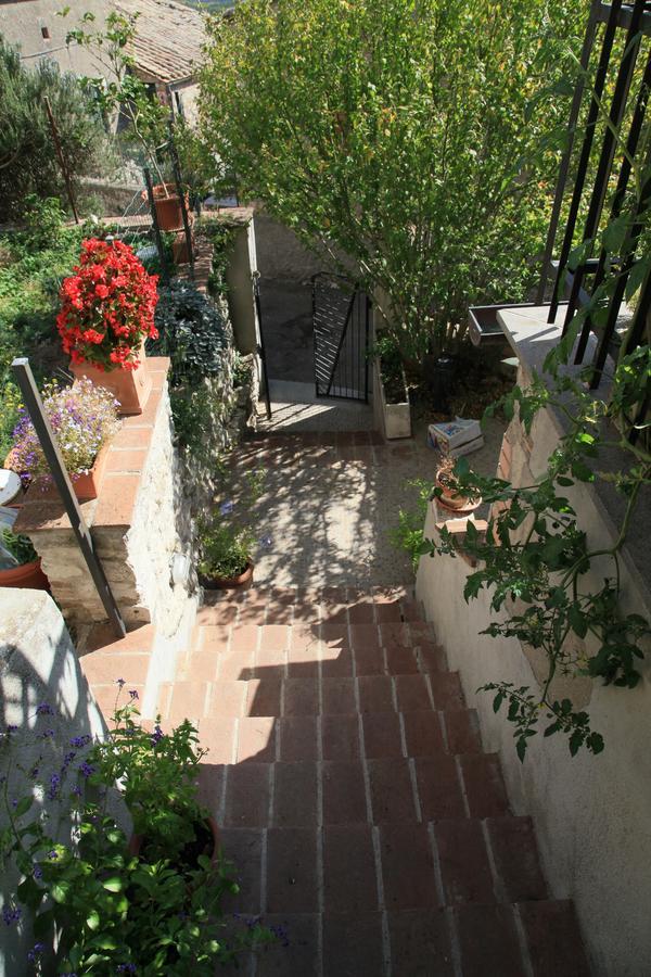 B&B Porchiano Del Monte Amelia Eksteriør bilde