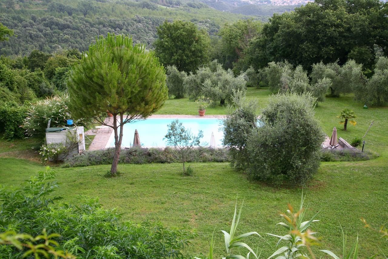 B&B Porchiano Del Monte Amelia Eksteriør bilde